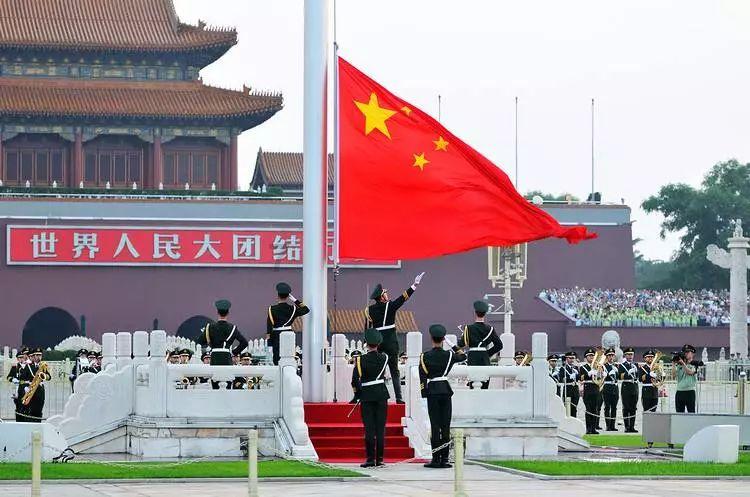 救援淘气的小狗