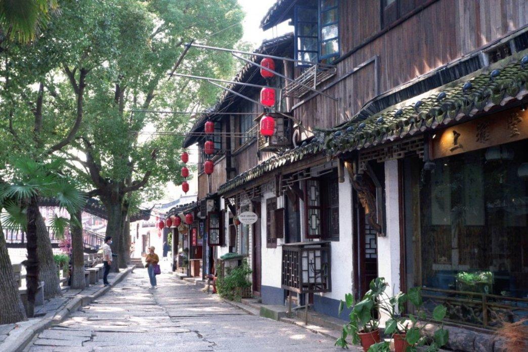 可爱小猫向上跳